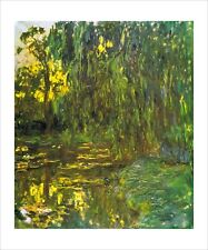 Monet Waterlily Pond with Willow 1918 fine art print poster wall art WITH BORDER