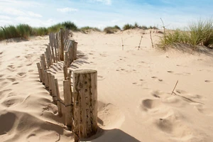 Fototapete VLIES-DÜNEN-(735S)-Meer Strand Beach Ostsee Nordsee Küste Sand See  - Bild 1 von 1