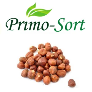 Hazelnuts Natural Raw Premium Quality 5 KG - Picture 1 of 1