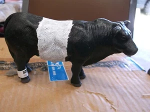 LITTLE BUSTER BLACK BELTED BULL - Picture 1 of 1