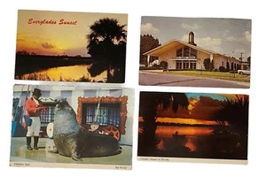 Vintage Florida Postcards Sea World Everglades Sunset Tropical Unposted Lot of 4 - Picture 1 of 10