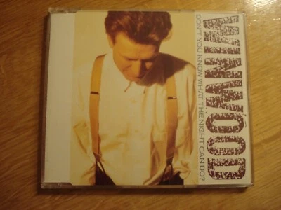 Steve Winwood - Don`t You Know What The Night Can Do ? - CD - Virgin VSCD 1107 - Bild 1 von 4