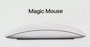 Apple Magic Mouse - White Multi-Touch Surface - Picture 1 of 1