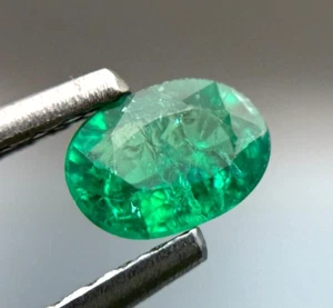 LAB GROWN BIRON 0.60 ct COLUMBIAN GREEN EMERALD OVAL CUT LOOSE GEMSTONE - Picture 1 of 2