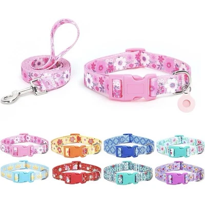 Moonpet Dog Collar with Leash & Airtag Holder Case Set, Size M Pink Color - Image 1 of 4
