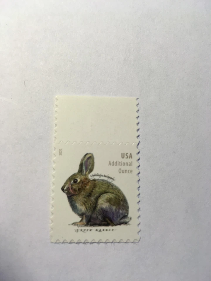 U.S. Stamp SC 5544 Brush Rabbit 2021 MNH - Image 1 of 1