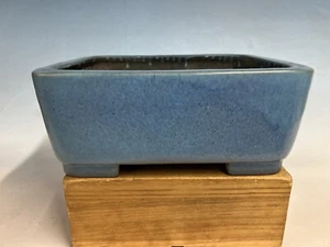 "Vaso albero bonsai Tokoname blu uovo smaltato Robins di Koyo 12"" - Foto 1 di 12
