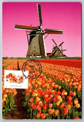 #5681 Tulips FDC Maxi Card - Image 1 of 2