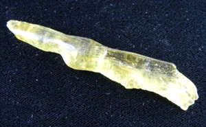 Espécimen de ámbar copal natural del Pleistoceno con insecto - Madagascar 5,71 gramos - Imagen 1 de 6