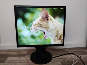 NEC MultiSync 19" LCD Monitor 5ms Schwarz 1280x1024 kippbar DVI-D VGA - Bild 1 von 6