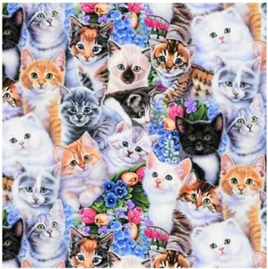 Fat Quarter - Kätzchen Katzen Tiere 18" x 21" vorgeschnittenes Baumwollstoffstück M203.18 - Bild 1 von 1