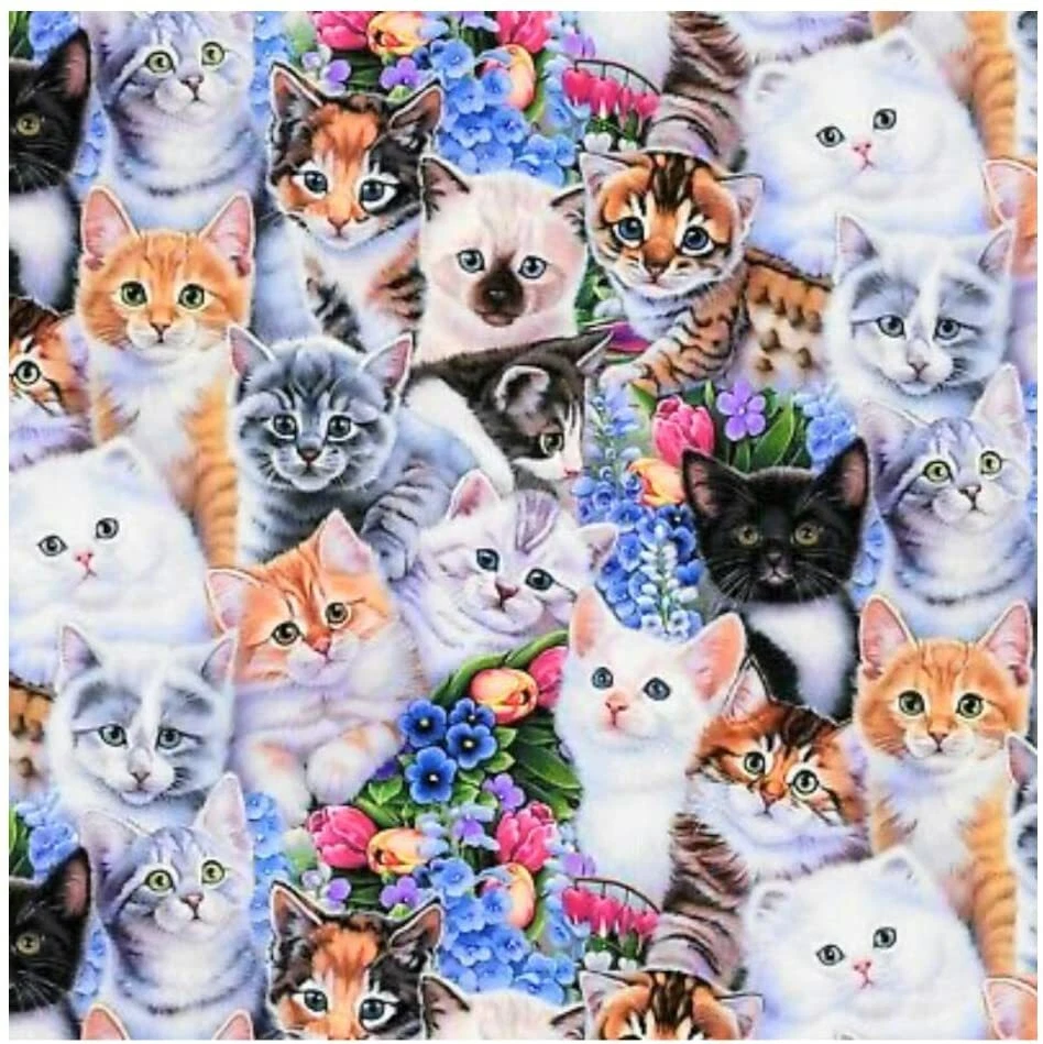 Fat Quarter - Kittens Cats Animals 18" x 21" Precut Cotton Fabric Piece M203.18 - Image 1 of 1