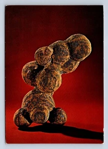 Museo de Historia Nacional Institución Smithsonian 50196-C postal sin publicar - Imagen 1 de 2