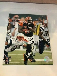 Rudi Johnson RB Cincinnati Bengals Autographed 8x10 Photo - Authentic Signature  - Picture 1 of 1