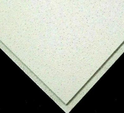 CEILING EXPERT Suspended Sandtone Texture Tegular 595mm x 595mm x 13mm Ceiling Tiles Dune Eve
