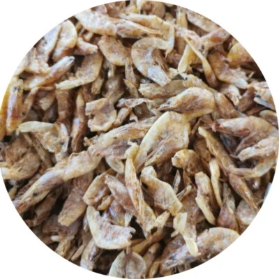 Süßwasser Shrimps Garnelen Fischfutter Reptilienfutter Teichfutter 2-4cm 10 l - Bild 1 von 2