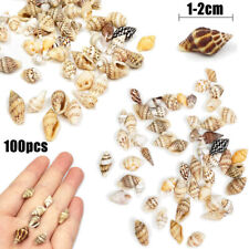 100pcs Small Sea Shells Assorted Natural Seashells Conch Crafts DIY Decoration