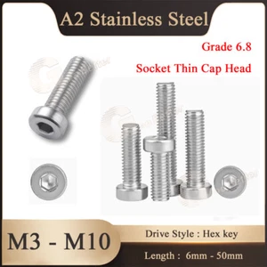Hexagon Allen Socket Thin Cap Head Screws A2 Stainless Bolt M3 M4 M5 M6 M8 M10 - Picture 1 of 8