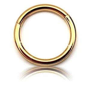 Gold Steel Segment Ring Clicker, Clicker Piercing Ring, Tragus, Labret ... - Bild 1 von 2