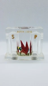 Aspen Lodge Clear Acrylic Dual Salt Pepper Shaker Duck Pine Trees Souvenir - Picture 1 of 6