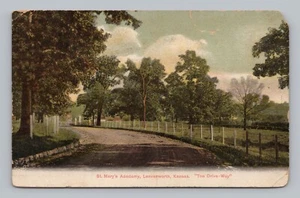 Postkarte St. Mary's Academy Leavenworth Kansas The Drive Way um 1907 - Bild 1 von 2