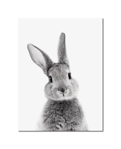 Rabbit Wall Art Bunny Wall Art Bunny Decor Lovely Rabbit Posters for Rabbit N... - Picture 1 of 6