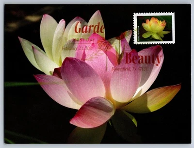 Maxi tarjeta #5657 Garden Beauty amarilla y rosa American Lotus FDC con cancelación DCP Foto 1 de 2