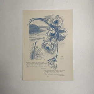 1893 The Water Lily Flower Illustration And Poem Antique Book Plate Ephemera - Picture 1 of 2