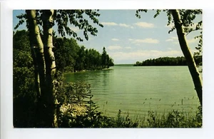 Saludos desde Petoskey MI Condado de Emmet 1956, postal de colección, lago, abedules - Imagen 1 de 3