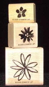 Flores 3 tamaños estampillas individuales de Stampin Up conjunto de flores de amistad envío gratuito - Imagen 1 de 3