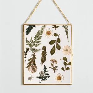 Brass Hanging Picture Frame,8X10 Double Glass Frame for Pressed Flowers - Picture 1 of 8