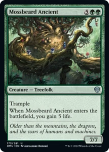 Mossbeard Ancient x1 - Dominaria United - come nuovo, inglese - Dominaria United - Foto 1 di 1
