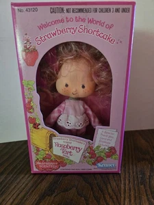 Muñeca Tarta Frambuesa de Strawberry Shortcake Vintage 1980 Caja Abierta - Imagen 1 de 9