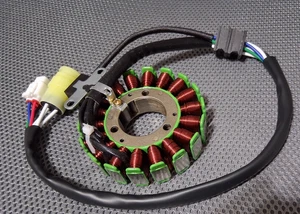 For Yamaha Raptor 250 YFM250 2001-2005 NEW Stator Coil - Foto 1 di 7