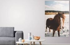 SNOW LOVING HORSE SCENERY picture wall ART Canvas home wall choose your size