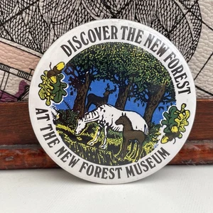 Vintage Badge New Forest Museum Hampshire Wiltshire England Pin Badge - Picture 1 of 3