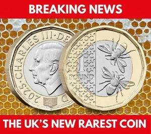The 2025 Bee £1 - L’attuale moneta più rara del Regno Unito... - Foto 1 di 7