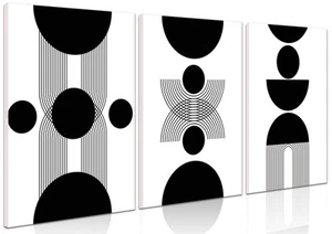 Framed Boho Wall Art Set of 3 - Black and White Modern Geometric Line Wall De... - Picture 1 of 8