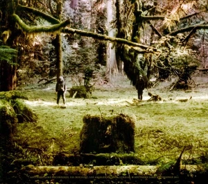 WOLVES IN THE THRONE ROOM - CELESTIAL LINEAGE [DIGIPAK] NEW CD - Picture 1 of 1