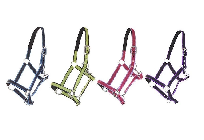 Kunststoff-Halfter ~ 2-fach verstellbar ~ Mini-Shetty bis Maxi-Kaltblut - Bild 1 von 1