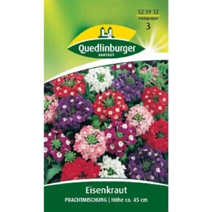 Verbena, mezcla espléndida - Afbeelding 1 van 3