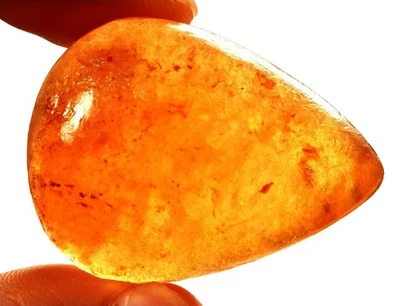 36.35 Cts. Natural Genuine Old Baltic Amber Untreated Certified Gemstone - Image 1 of 4