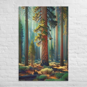 OREGON FOREST - 40X60 BIG CANVAS ART - Picture 1 of 1