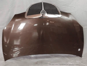 51872629 Capó delantero  LANCIA YPSILON (TE) 1.2 Oro Ber. 3p/b/1242cc - Imagen 1 de 6