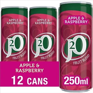 J2O Fruit Blend Juice Drink Perfect Mixer Low Calorie 12 x 250ml Cans, 3000Ml - Picture 1 of 2