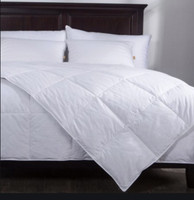 holiday inn comforter