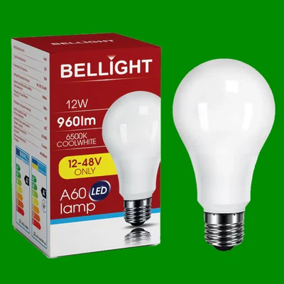 2x 12W =100W LED 12V 24V 48V Low Voltage GLS E27 Light Bulbs 6500K Edison Screw - Image 1 of 3