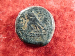 Mule Coin??? - Antiochos VIII- Ancient Greek Coin - Guaranteed Authentic (21U21) - Picture 1 of 2