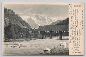 1904 Swan Brand Swiss Ribbed Underwear Advertising Calling Card Postcard - Picture 1 of 2