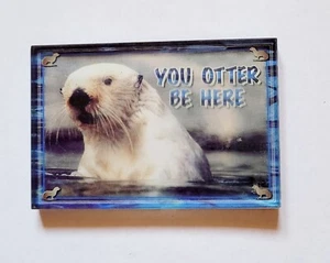 You Otter Be Here Refrigerator Magnet Novelty Photo Otter Free Shipping - Picture 1 of 3